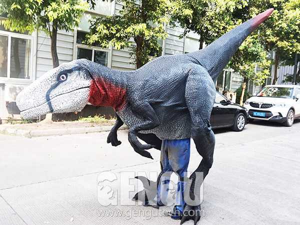 Dinosaur Costumes